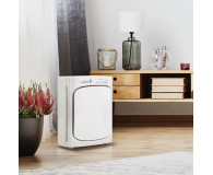 Webber Outlet OCZYSZCZACZ POWIETRZA AP8410 (WEBBER) [#] - 1557755 - zdjęcie 5